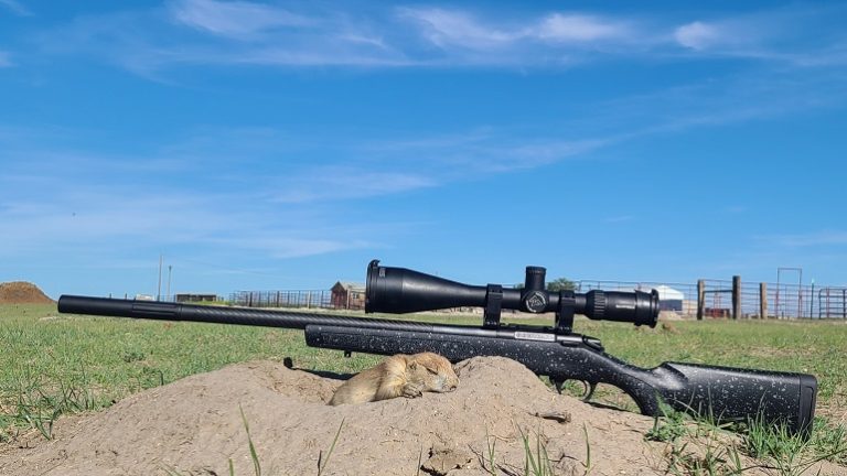 Gun Review: Bergara BMR Carbon Rimfire Rifle