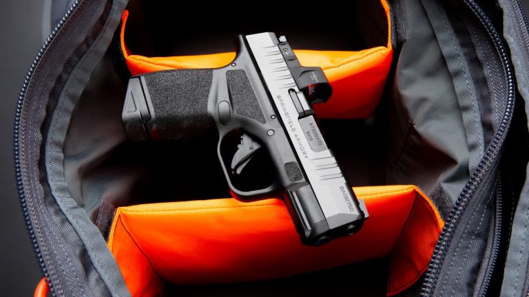 First Look: Stainless Springfield Hellcat