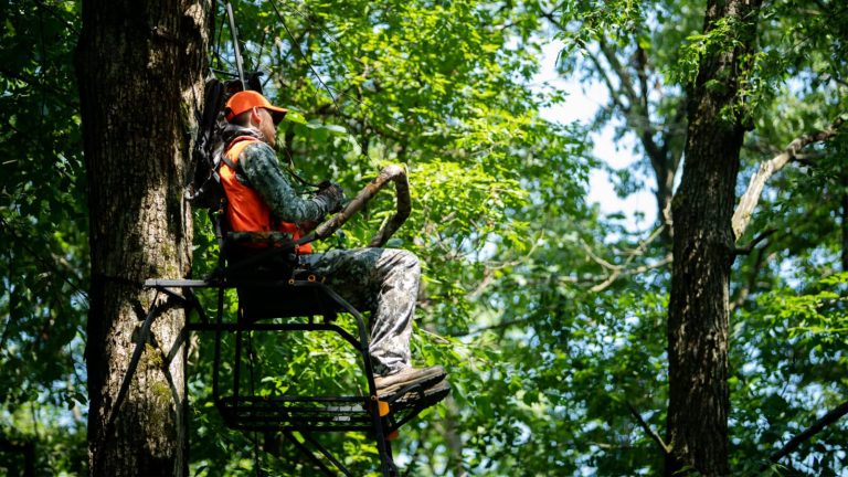Killer Tree Stands: The Devil Is in the Details