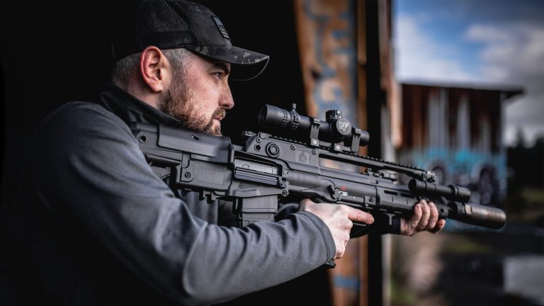 Should AR Owners Love the Hellion (or Hate It)?