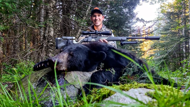 Black Bear Hunting with the Springfield Model 2020 Waypoint