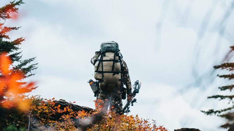 Is Bear Spray Better Than a Pistol?