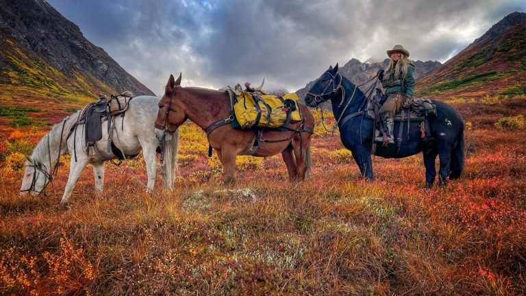 My Moose Hunt Journey – The Armory Life