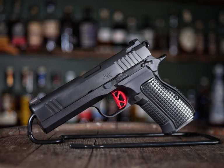 Gun Review: Dan Wesson DWX Compact