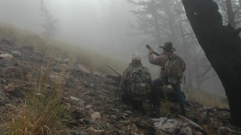How to Hunt Elk – Abridged