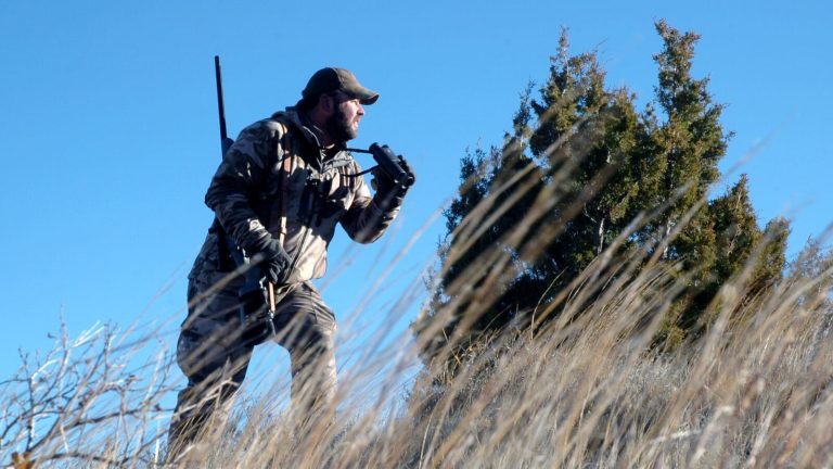 How to Hunt the Wind