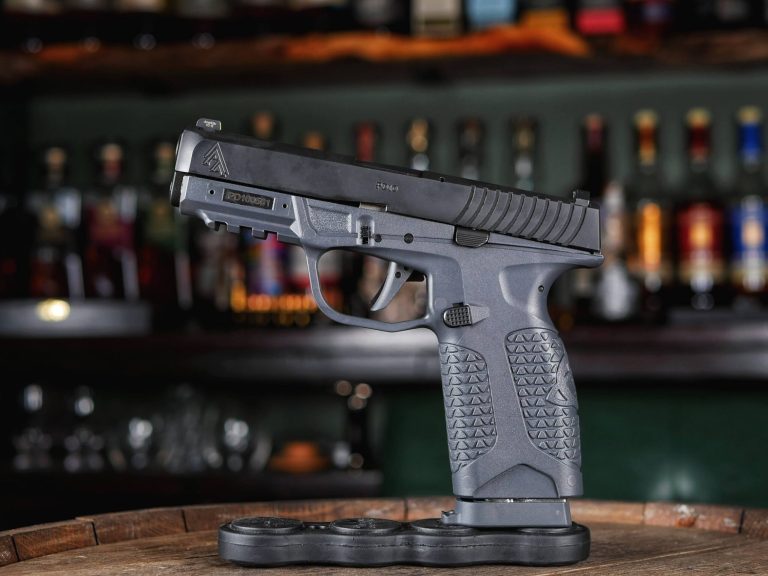 Gun Review: Avidity Arms PD10 9mm Pistol