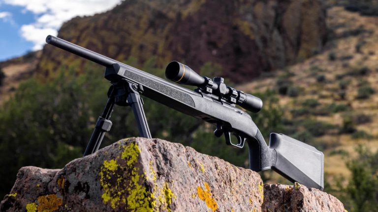 Best Rimfire Rifle for the Money?