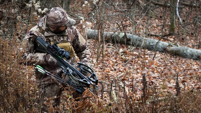 Why I Use a Crossbow to Hunt