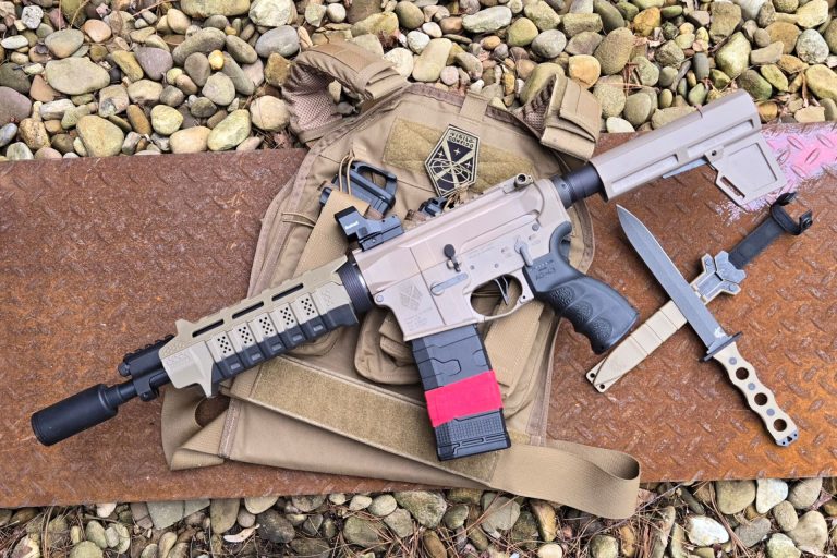 Sci-Fi and Space Gat 2: The AR-15-Based XCOM X-9