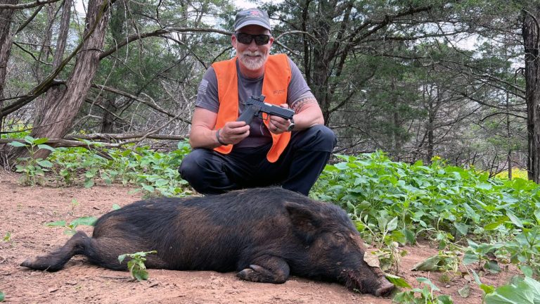 Federal Syntech 9mm and the Prodigy: The Ultimate Hog Hunting Combo?