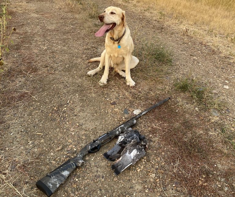 Light, Lively, and Deadly: Benelli’s Super Black Eagle 3 in 28 Gauge Is the Perfect All-Day Autoloader