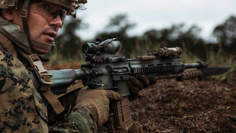 What Is an ACOG? – The Armory Life