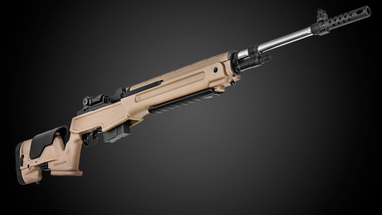 Long Range Shooting with Iron Sights