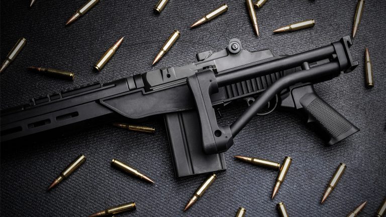 A Folding Stock M1A? The Delta 14 Chassis