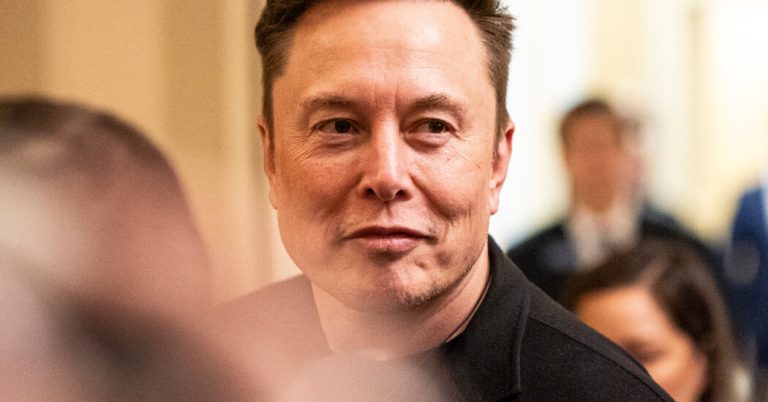 Elon Musk Backs Away From Washington, but DOGE Remains