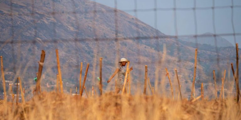 Trump Deports Five Men to New “Third Country” of Eswatini