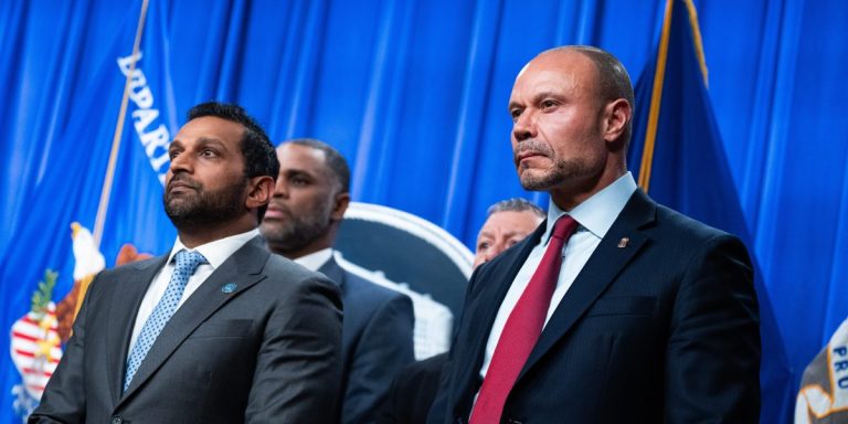 Paid FBI Informant Crucial to “Turtle Island Liberation Front” Terror Case