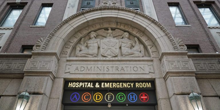 Palantir Gets Millions of Dollars From New York City’s Public Hospitals