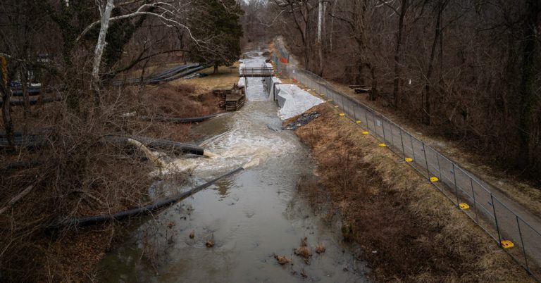 Potomac River in D.C. Is Safe, Officials Say. But Locals Still Worry About the Poop.