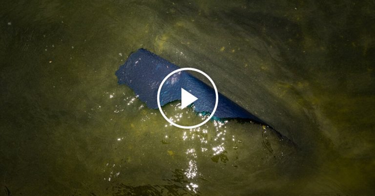 Reflecting Pool Turns Green, Paint Peels After Renovation